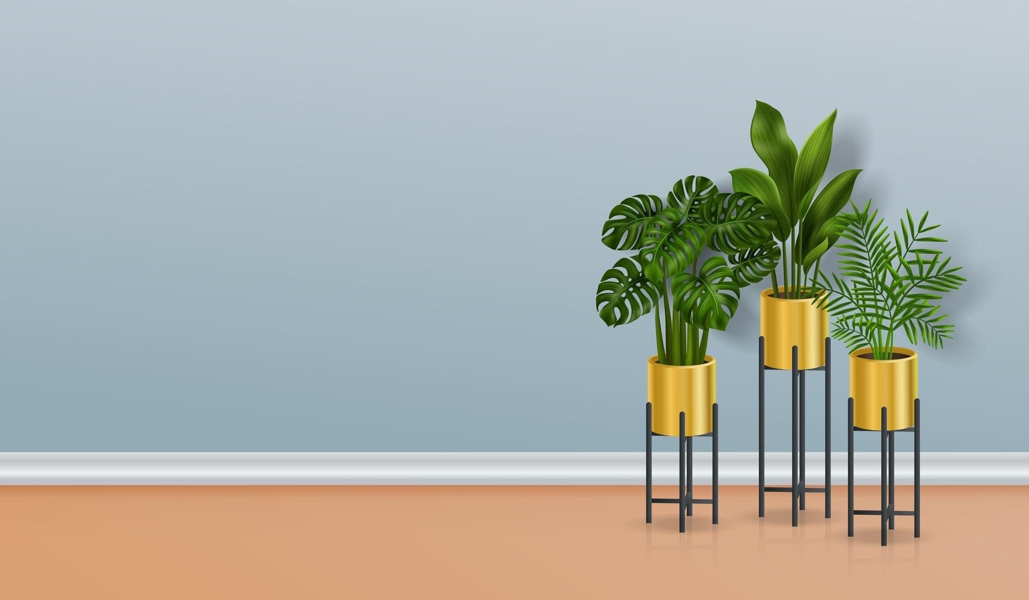 Home Decore